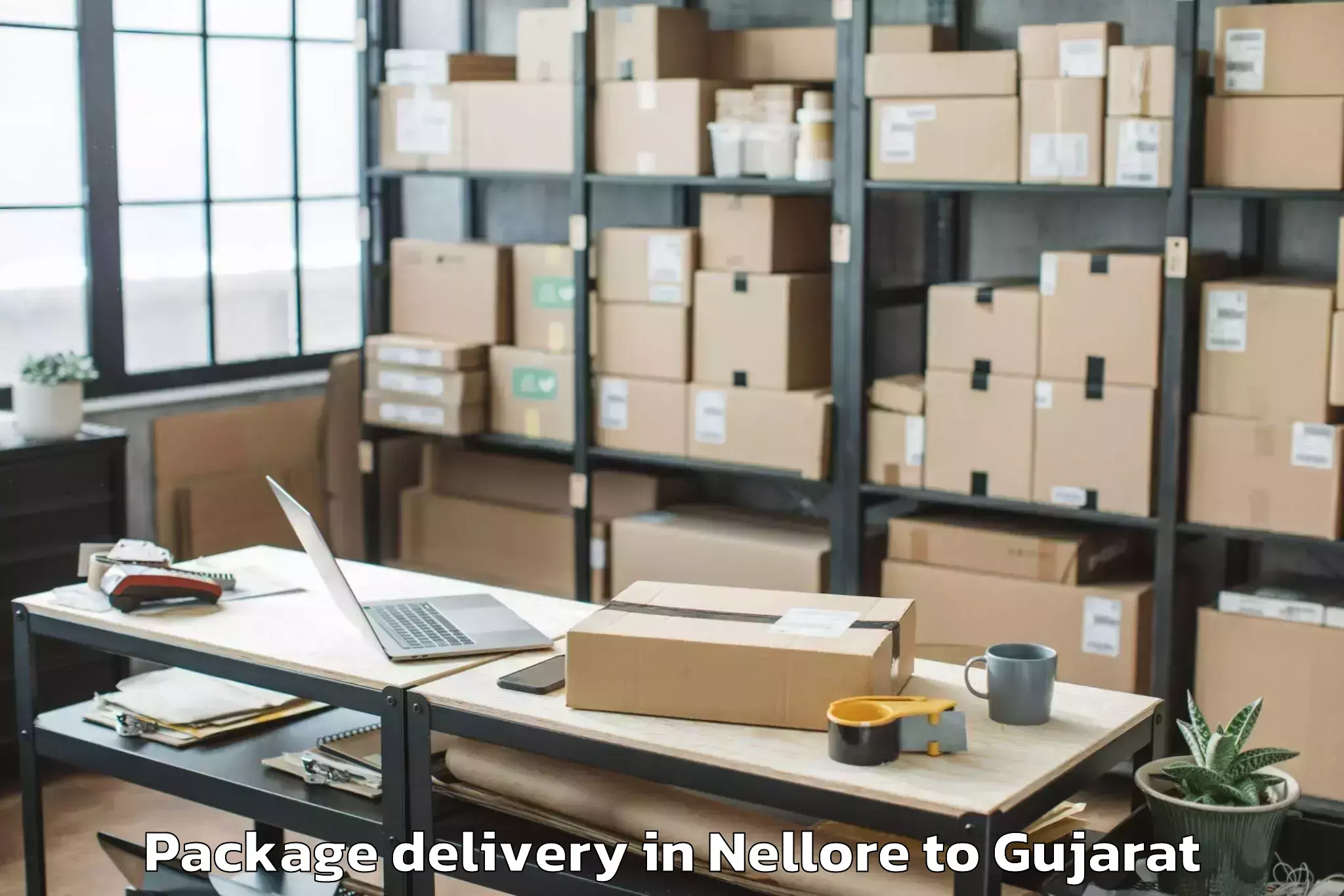 Affordable Nellore to Rk University Rajkot Package Delivery